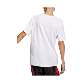 Мужская футболка NIKE