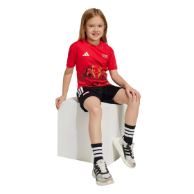 Детский Спортивный костюм ADIDAS
